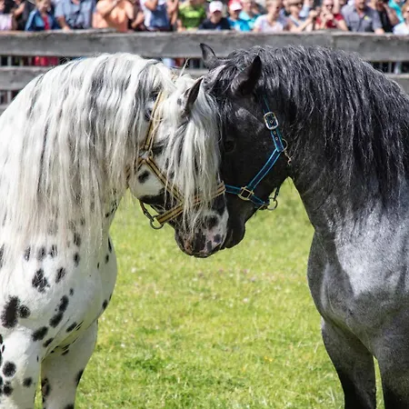 Hochalmbahnen 1-18, Enzian, Nahe Gondel, Hunde Willkommen Feriehus *